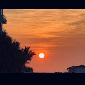 免费看裸体美人
